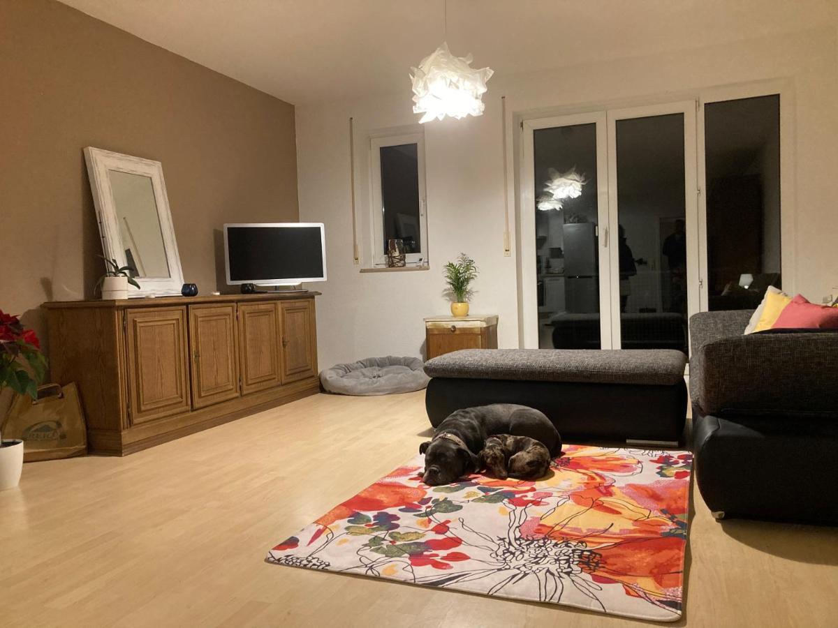 שלינגן 3 Zi Wohnung Haustiere Willkommen Im Markgraeflerland Dreilaendereck מראה חיצוני תמונה